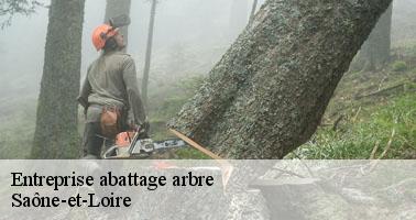 Entreprise abattage arbre 71 Saône-et-Loire   Clement david paysagiste
