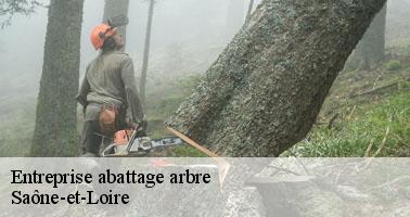 Entreprise abattage arbre 71 Saône-et-Loire Clement david paysagiste