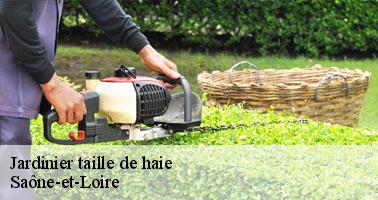Jardinier taille de haie 71 Saône-et-Loire Clement david paysagiste