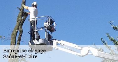 Entreprise élagage 71 Saône-et-Loire Clement david paysagiste