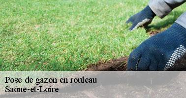 Pose de gazon en rouleau 71 Saône-et-Loire Clement david paysagiste
