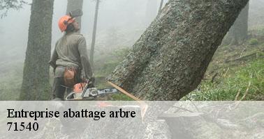 Entreprise abattage arbre lucenay-l-eveque-71540 Clement david paysagiste