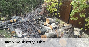 Entreprise abattage arbre lucenay-l-eveque-71540 Clement david paysagiste