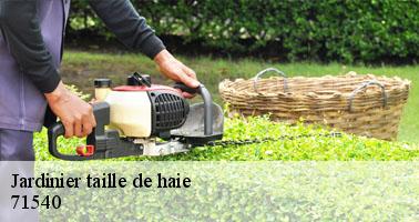Jardinier taille de haie lucenay-l-eveque-71540 Clement david paysagiste