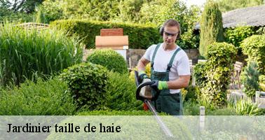 Jardinier taille de haie  lucenay-l-eveque-71540  Clement david paysagiste