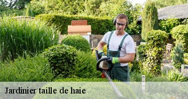 Jardinier taille de haie lucenay-l-eveque-71540 Clement david paysagiste
