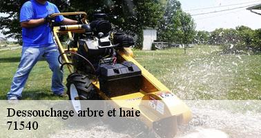 Dessouchage arbre et haie lucenay-l-eveque-71540 Clement david paysagiste