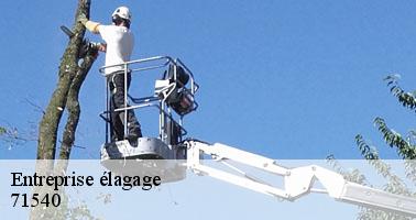 Entreprise élagage lucenay-l-eveque-71540 Clement david paysagiste