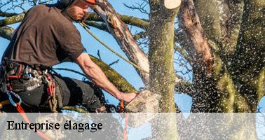 Entreprise élagage lucenay-l-eveque-71540 Clement david paysagiste