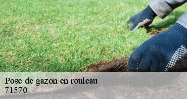 Pose de gazon en rouleau  saint-amour-bellevue-71570  Clement david paysagiste