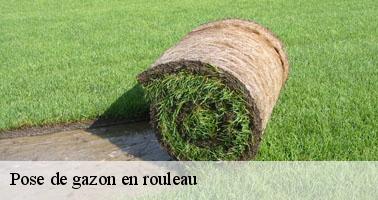 Pose de gazon en rouleau saint-vincent-en-bresse-71440 Clement david paysagiste