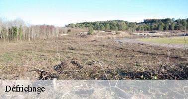 Défrichage lucenay-l-eveque-71540 Clement david paysagiste