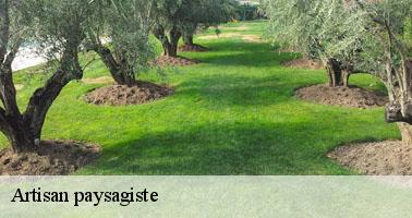 Artisan paysagiste lucenay-l-eveque-71540 Clement david paysagiste