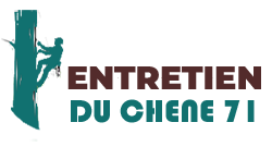 elagage-71-entretien-du-chene-71
