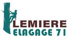 elagage-71-lemiere-elagage-71